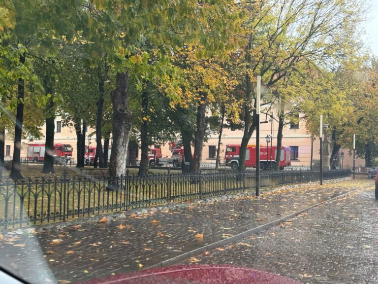 Kilka zastęp&oacute;w straży pożarnej przy Zamku Kr&oacute;lewskim w Niepołomicach